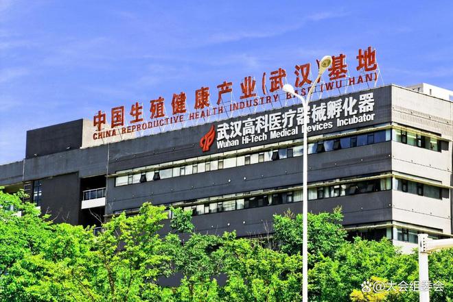 25中国国际性文化节-武汉国际成人用品展冰球突破游戏2025成人情趣用品展-20